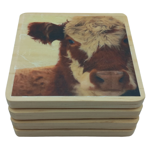 Herefordshire Cattle Coasters. Set of 4