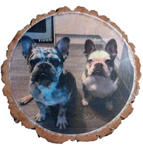 Log Slice featuring pet dogs