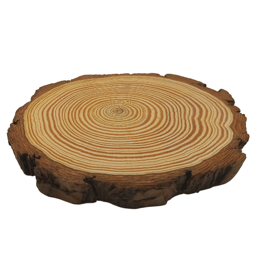 Log Slice 17 x 17 x 1.8 cm (approx)