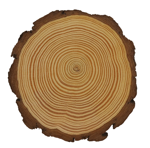 Log Slice 17 x 17 x 1.8 cm (approx)