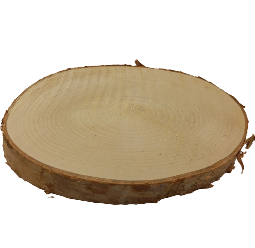 Log Slice (BIRCH BARK) 17 x 17 x 1.8 cm (approx)