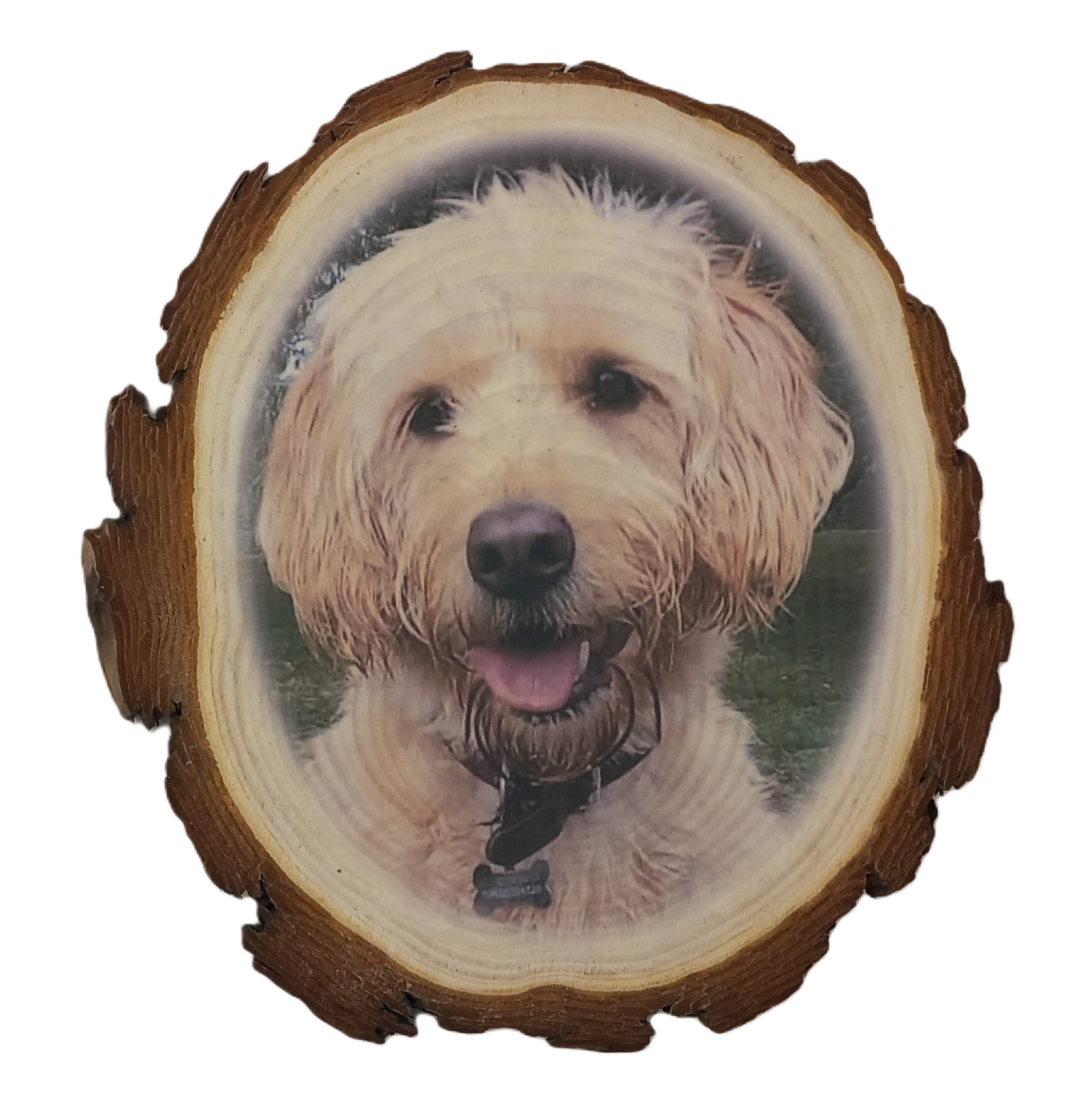 Log Slice featuring pet dog