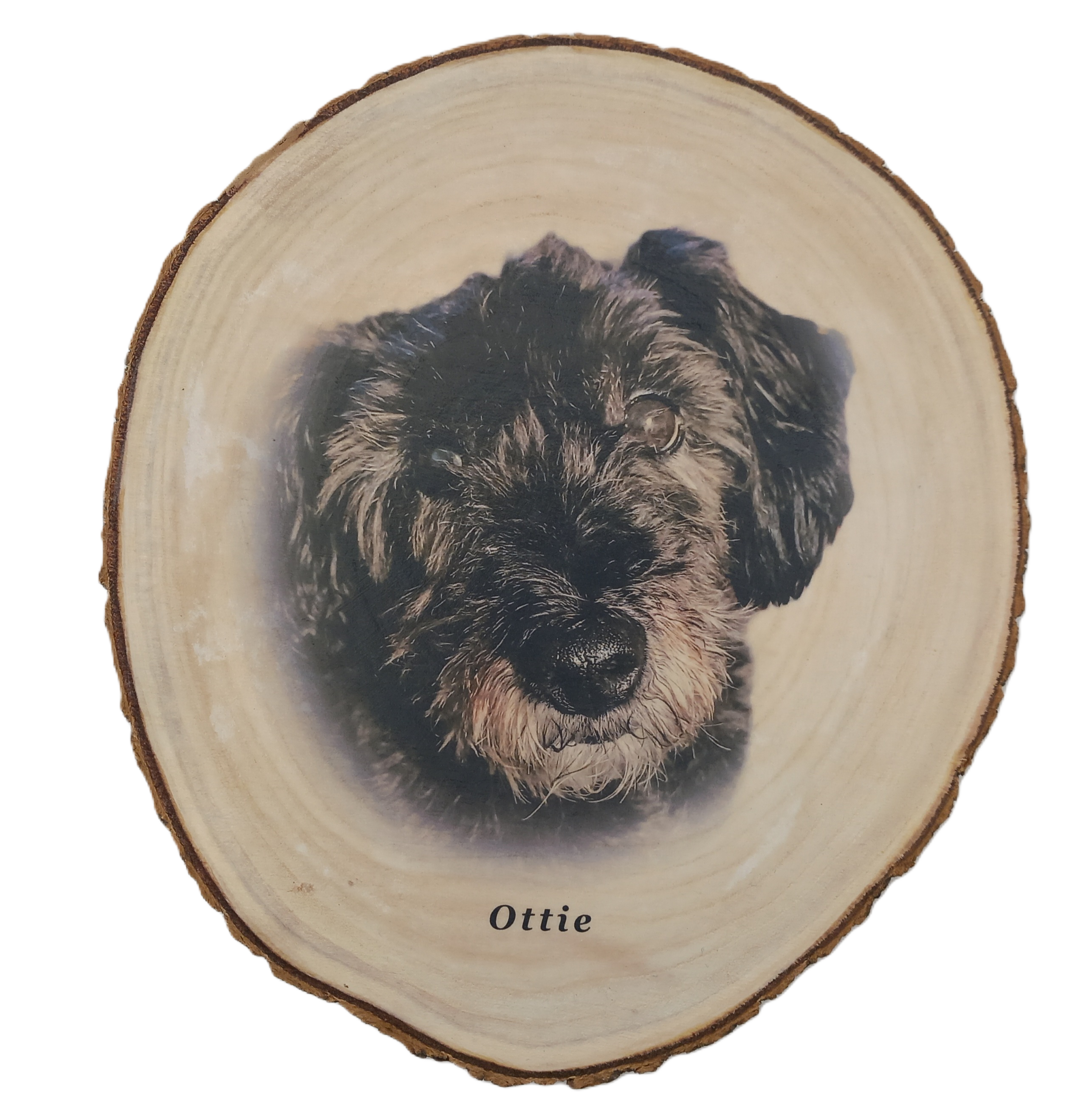 Log Slice featuring pet dog Ottie