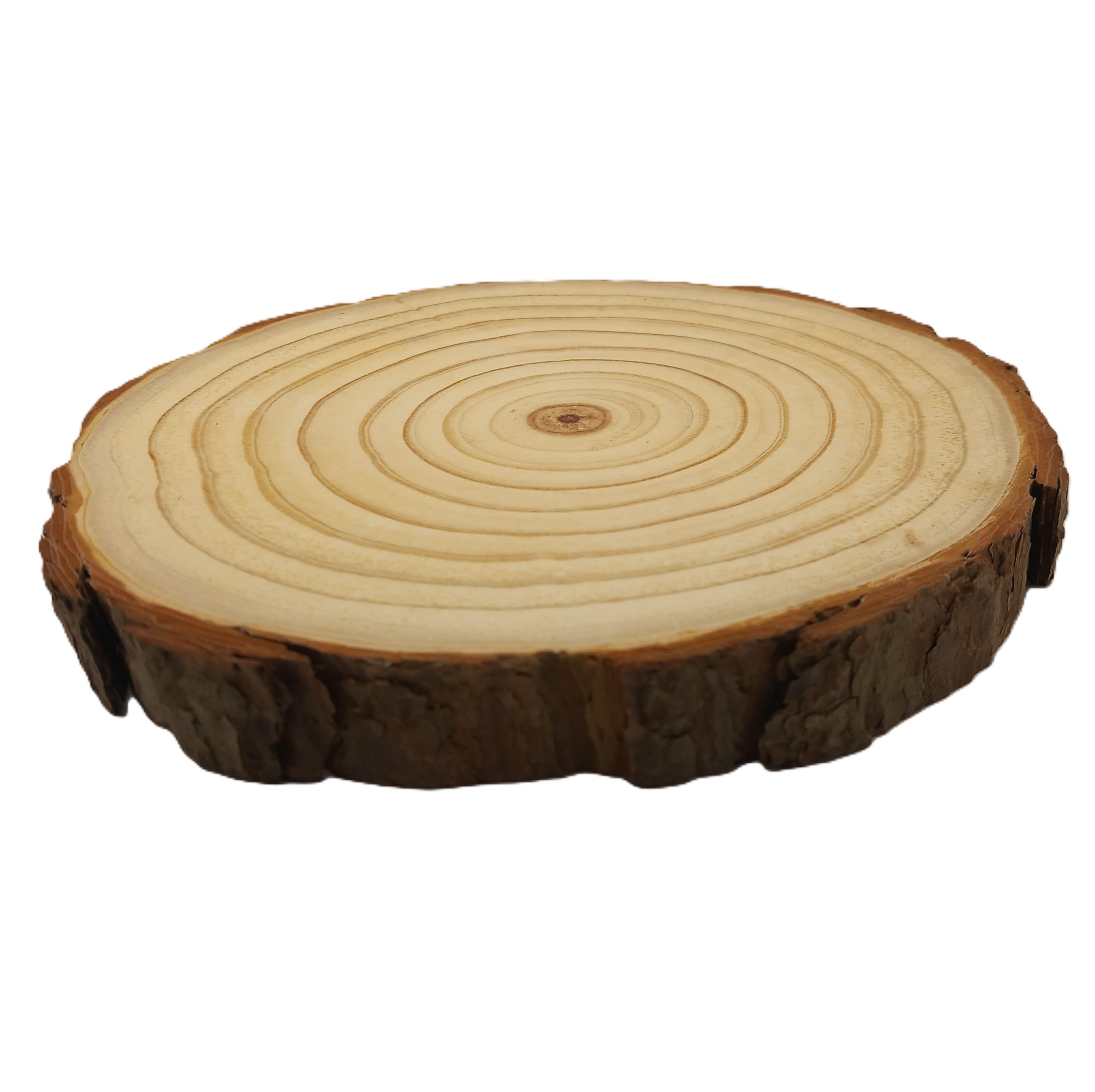 Log Slice 20 x 20 x 2.0 cm (approx)