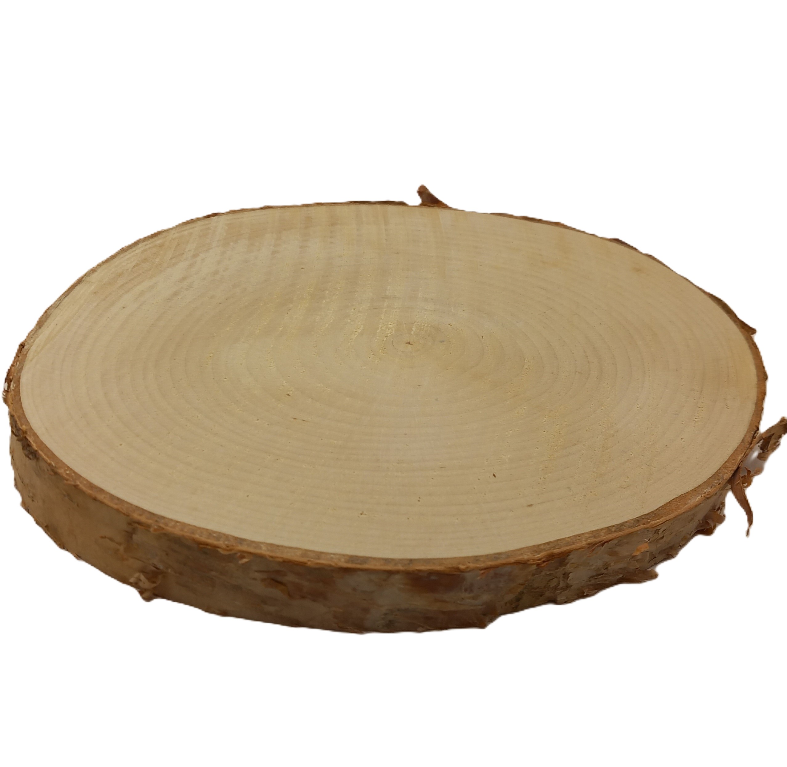 Log Slice (BIRCH BARK) 15 x 15 x 1.8 cm (approx)