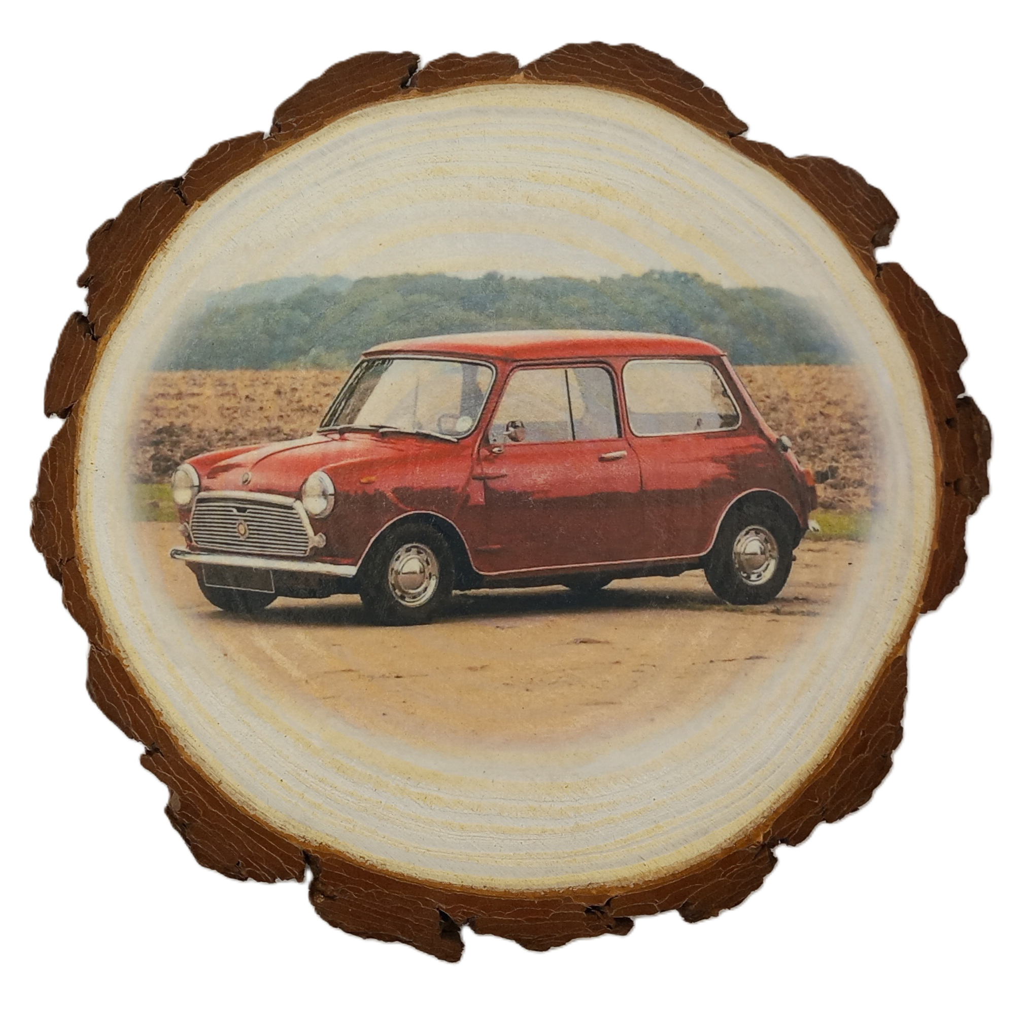 Log Slice featuring Vintage Car
