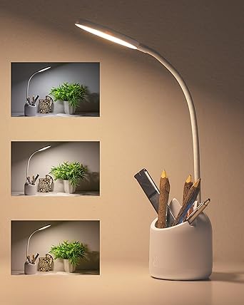 LED Desk Lamp with Pen Holder
