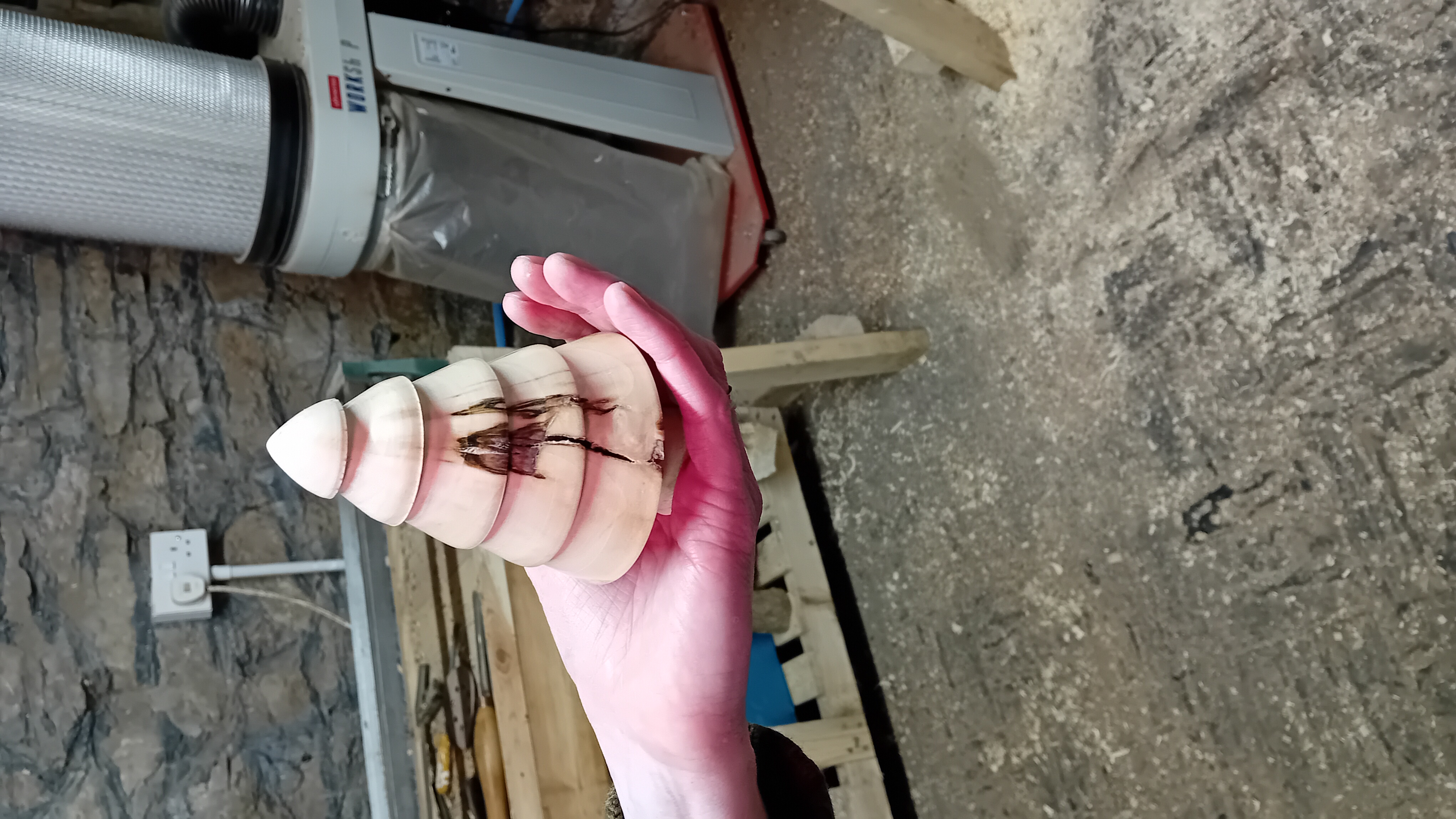 3.5hr Tree Woodturning Experience Session