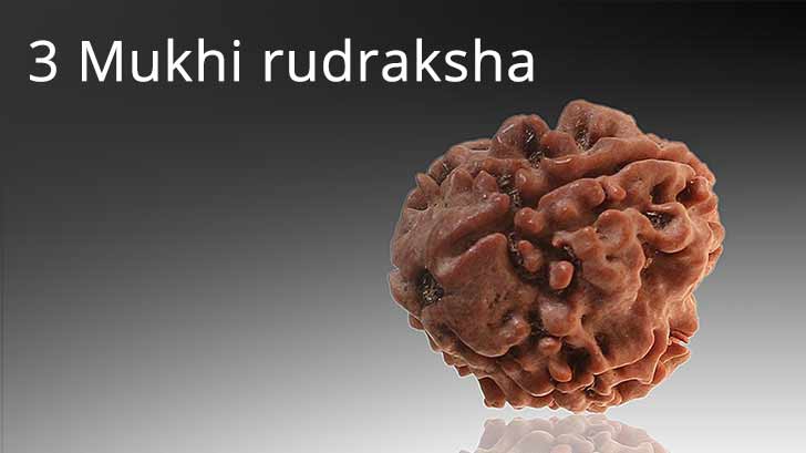 3 मुखी रुद्राक्ष