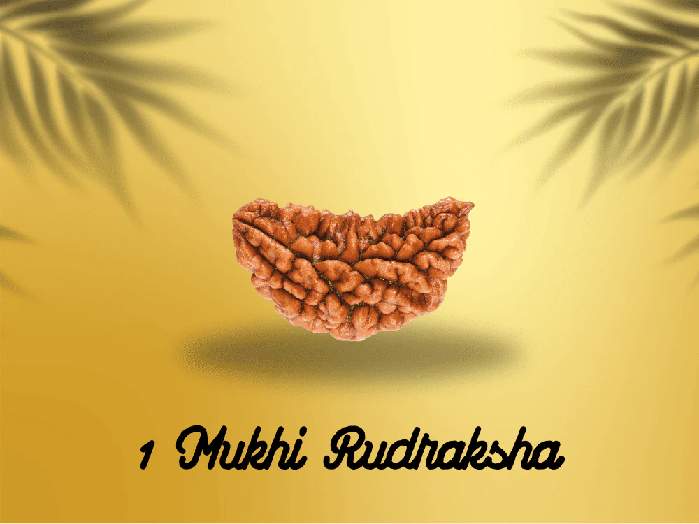 1 मुखी रुद्राक्ष