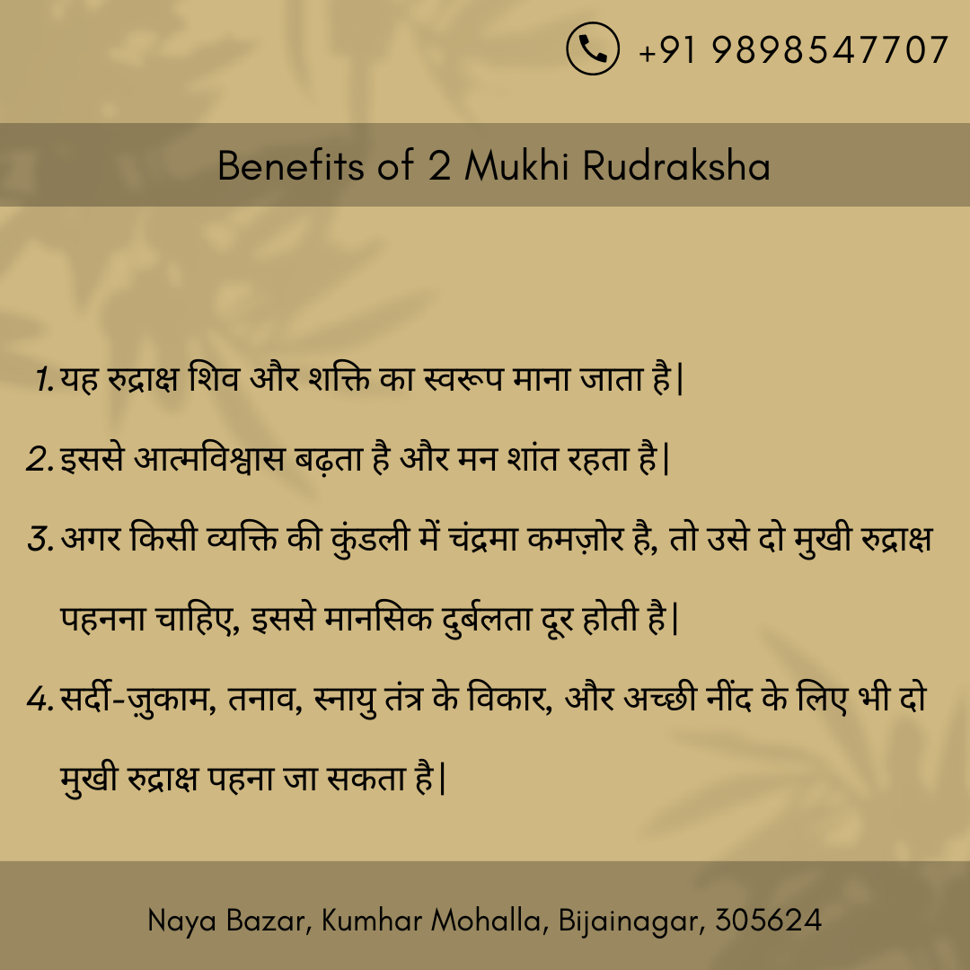2  मुखी रुद्राक्ष