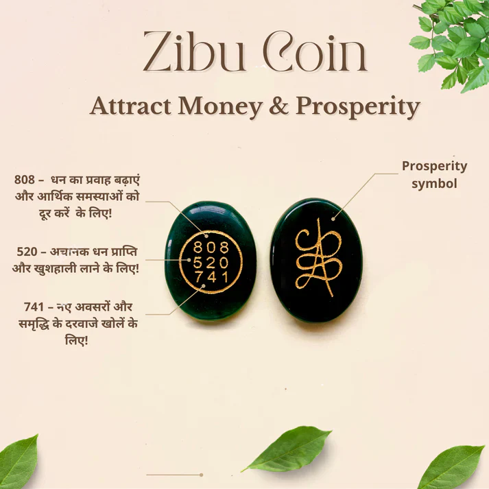 Zibu Coin | Suggested by Vasantji Maharaj