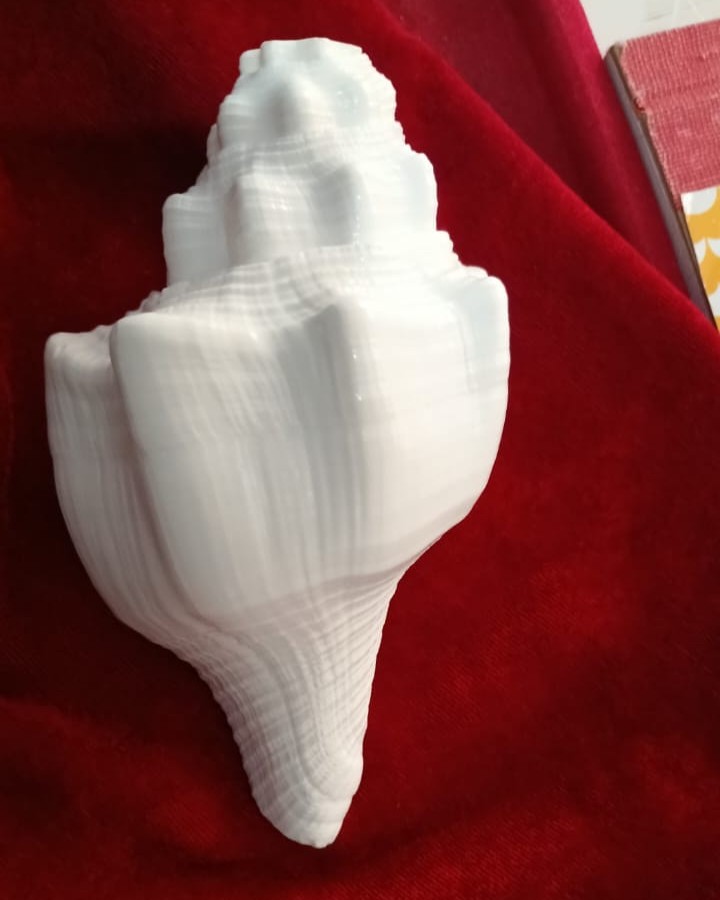 Exclusive Gaumukhi Shankh