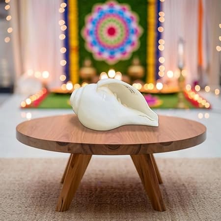 Baynavarti sankh | Vaamvarti Shankh for Pooja Blowing Original | Conch Shell Blowing shankh