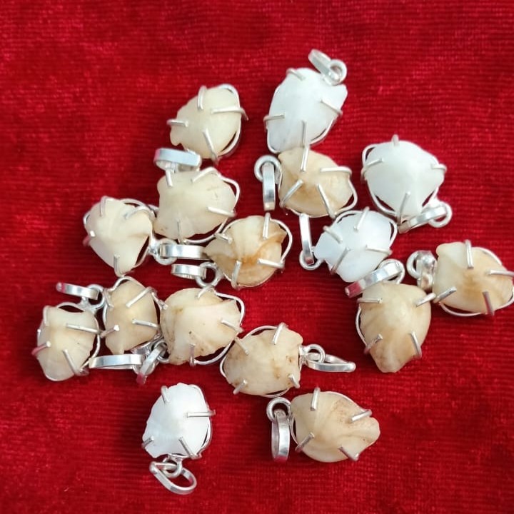 Machmani Stone Locket Original Mach mani sea stone Pisces stone 100% Natural Machh Mani for Rahu AAA Quality Certified From Gem Testing Lab Authentic