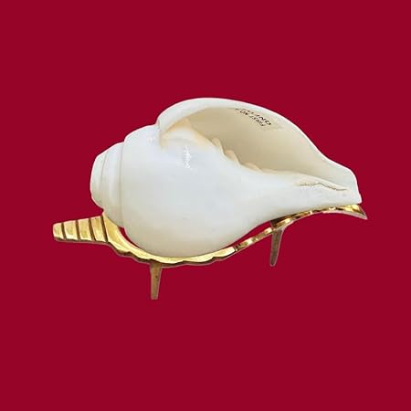 Baynavarti sankh | Vaamvarti Shankh for Pooja Blowing Original | Conch Shell Blowing shankh