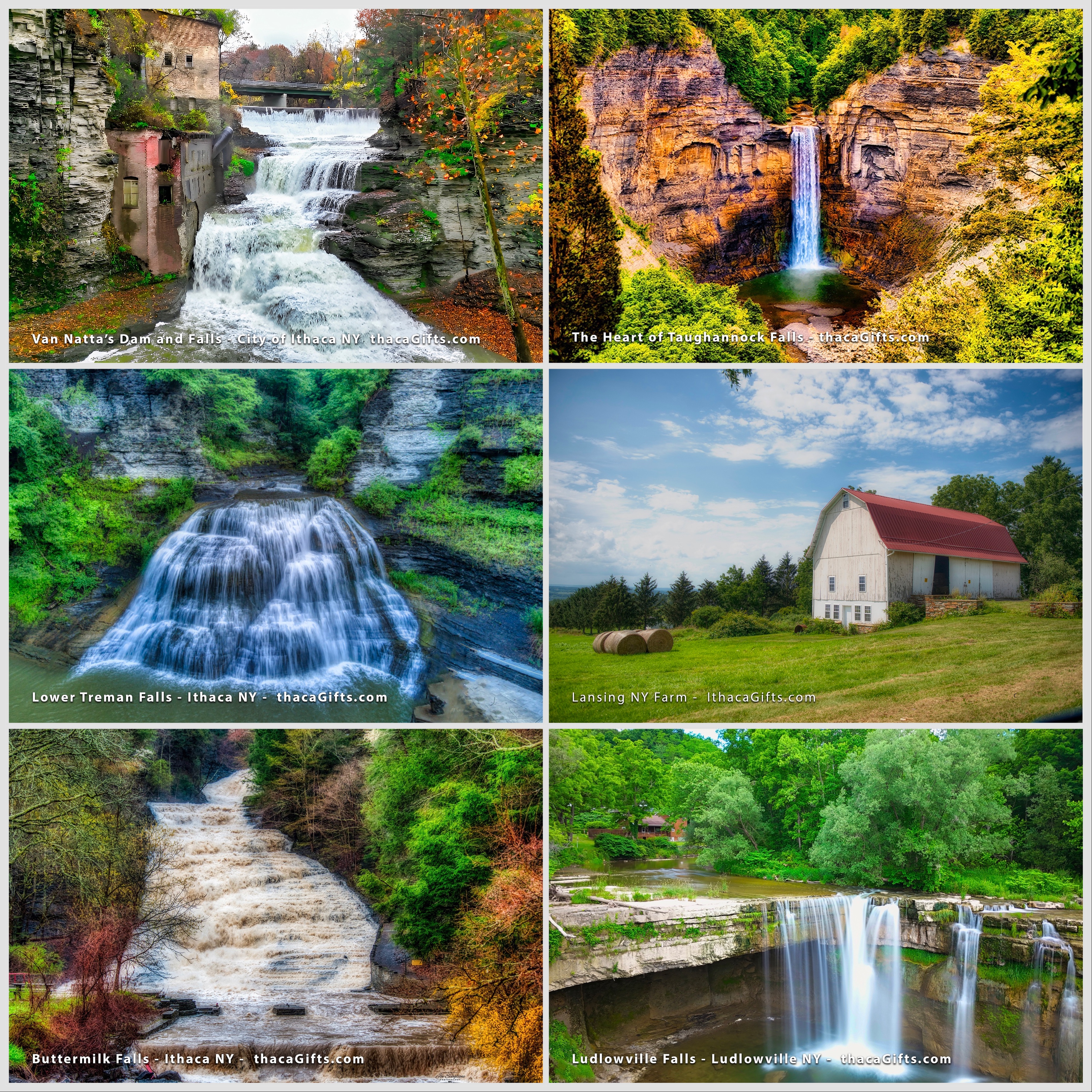 Make a donation get 6 area postcards