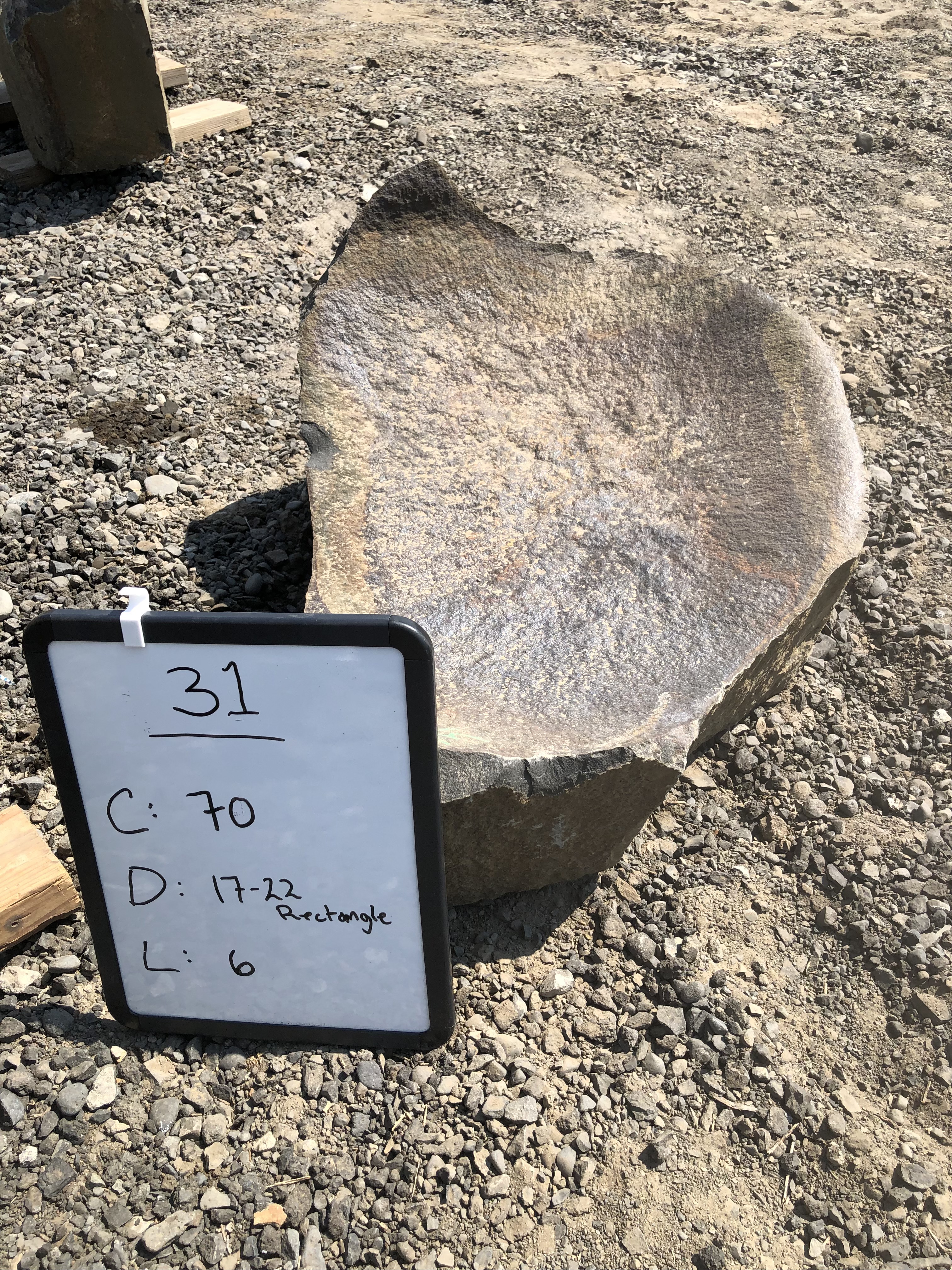 Bowl #31