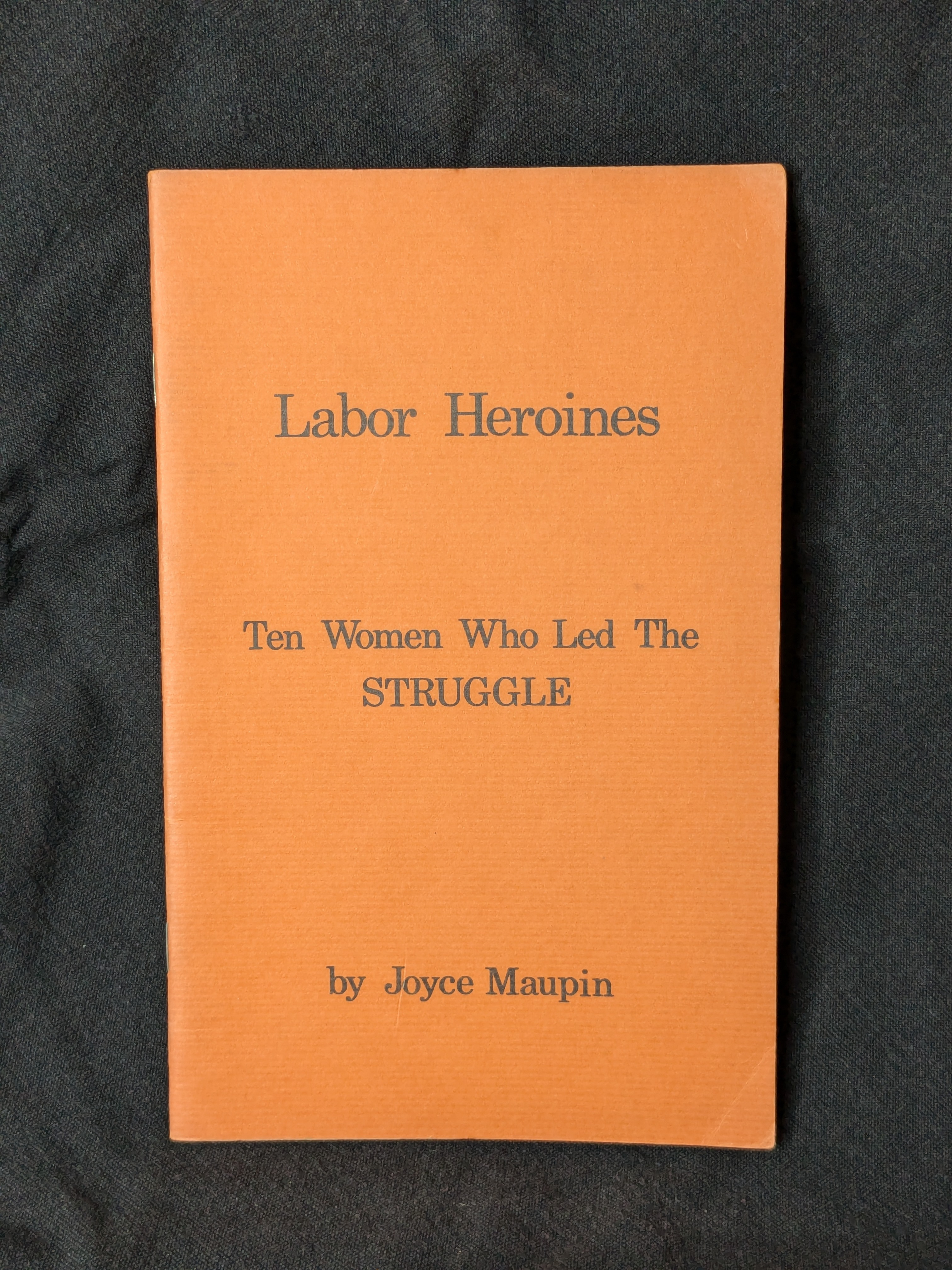 Labor Heroines: Ten Women Who Led the Struggle (1976) by Joyce Maupin