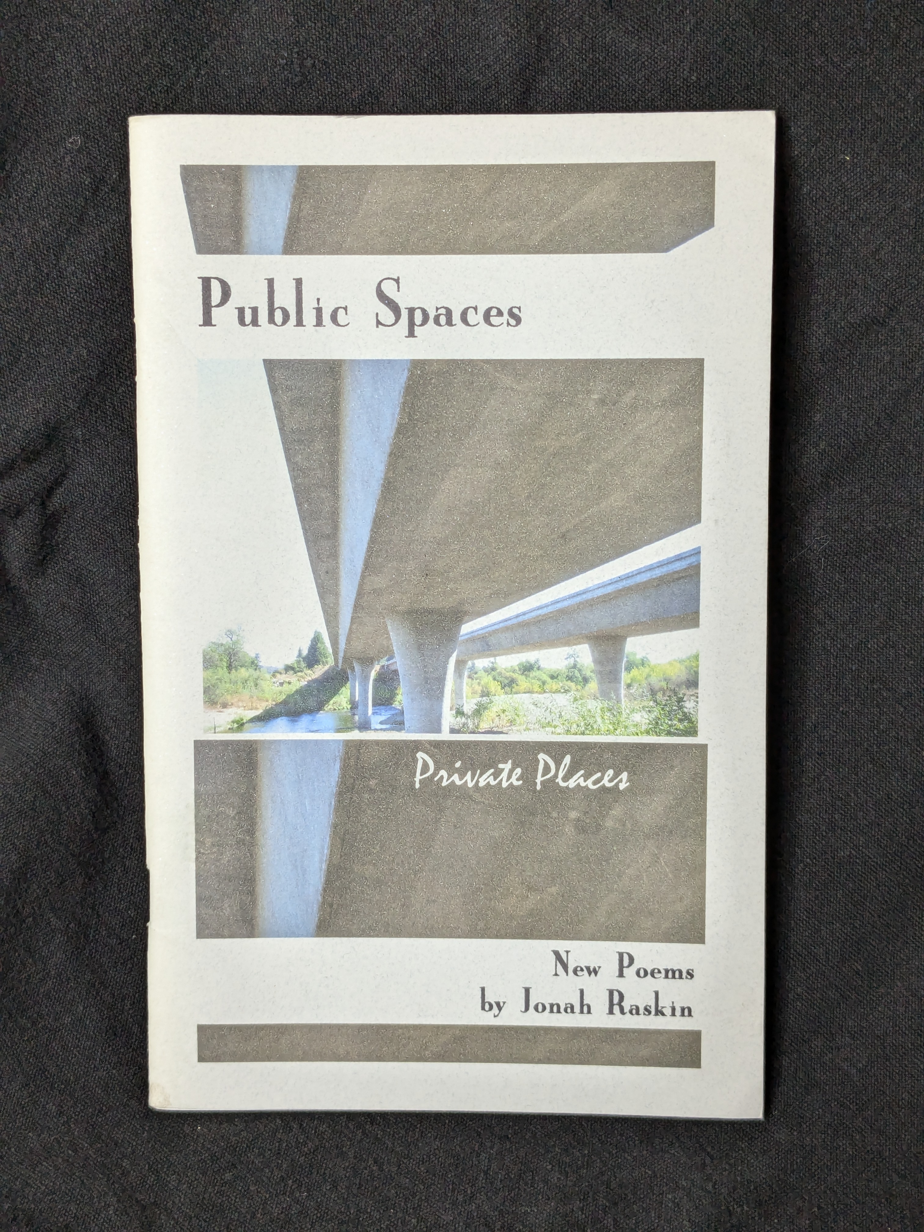 Public Spaces, Private Places (1995) by Jonah Raskin