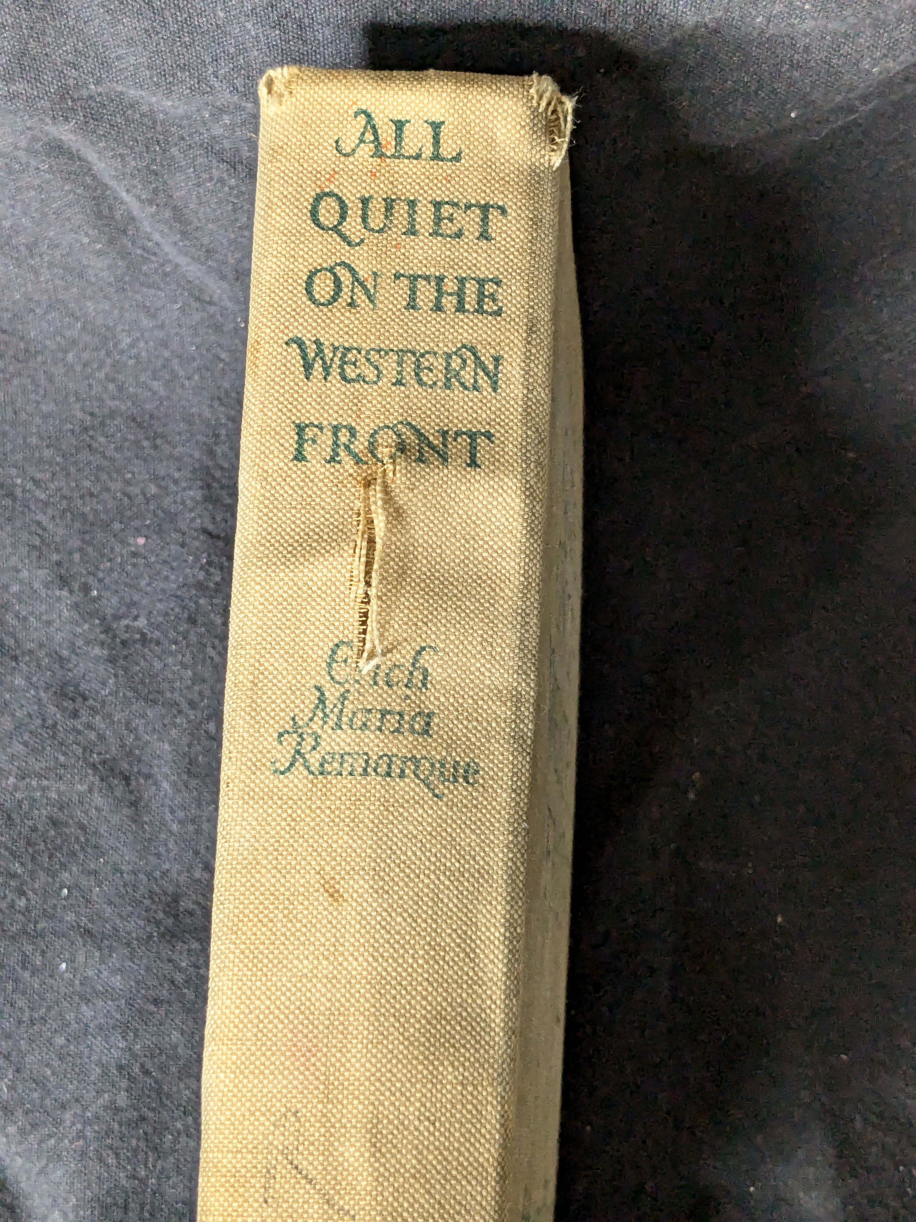 All Quiet on the Western Front by Erich Maria Remarque (1929)