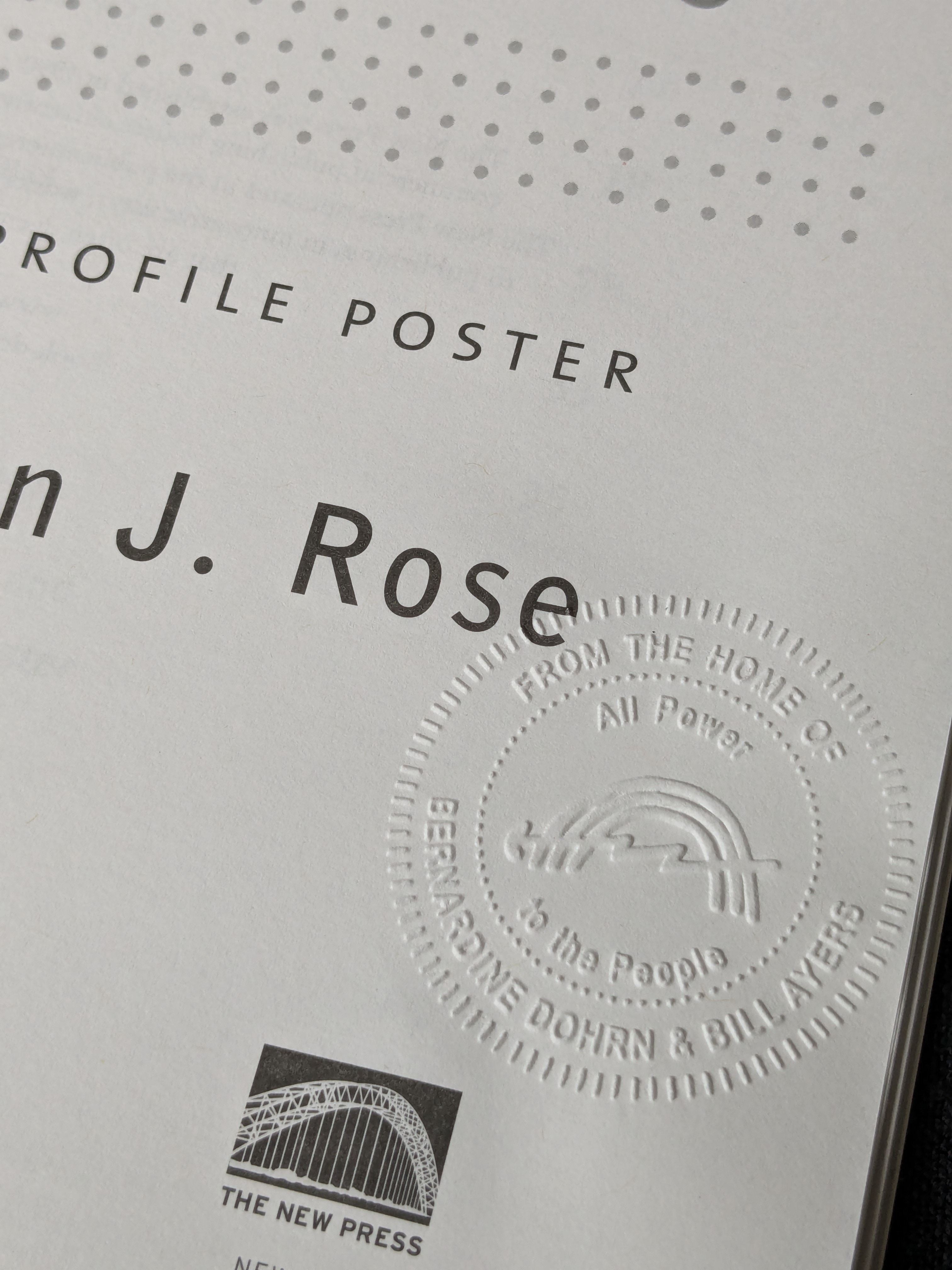 Social Stratification in the United States: The American Profile Poster (Revised and Updated) by Stephen J. Rose