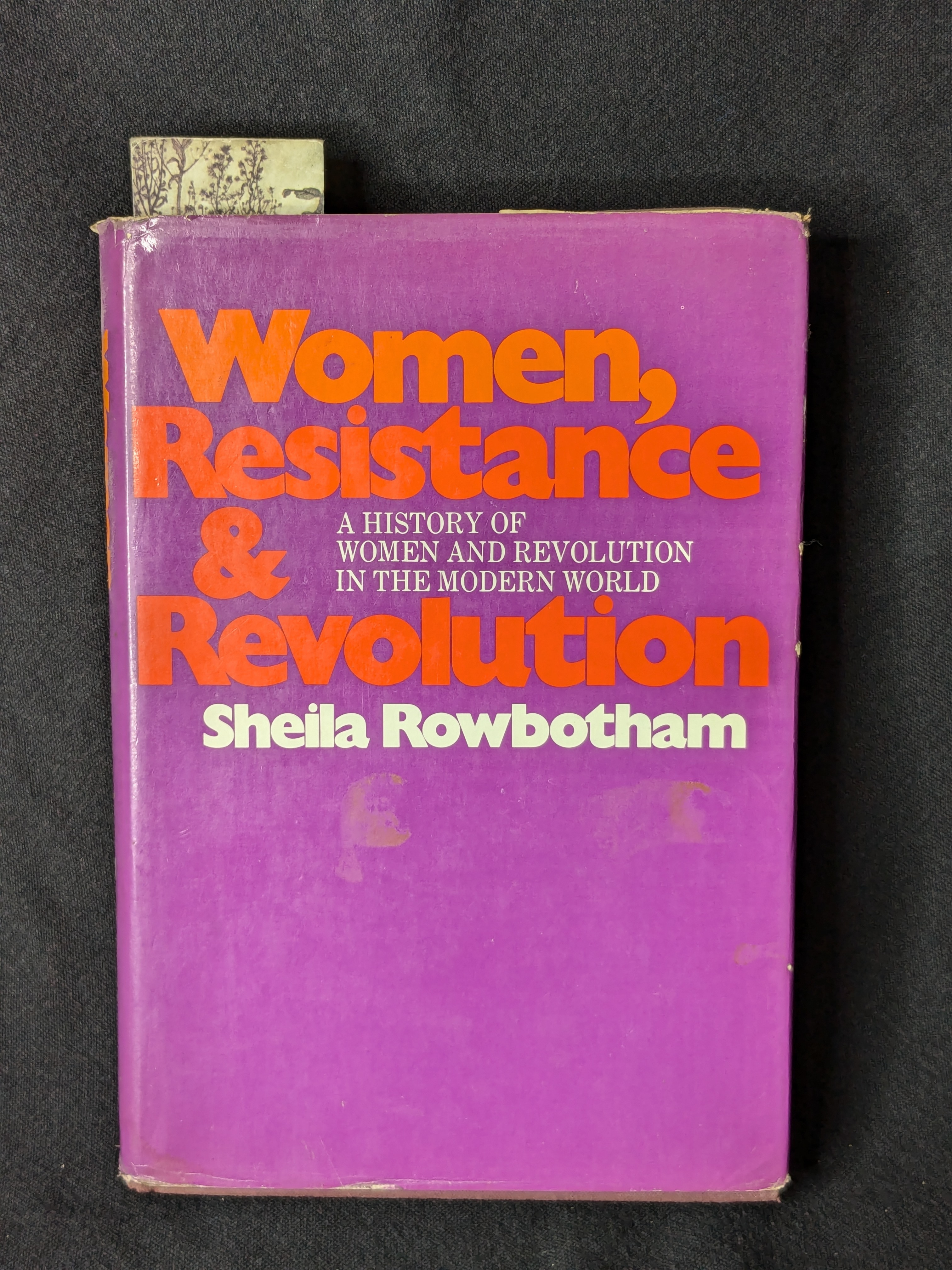 Women, Resistance & Revolution: A History of Women and Revolution in the Modern World (1972) by Sheila Rowbotham
