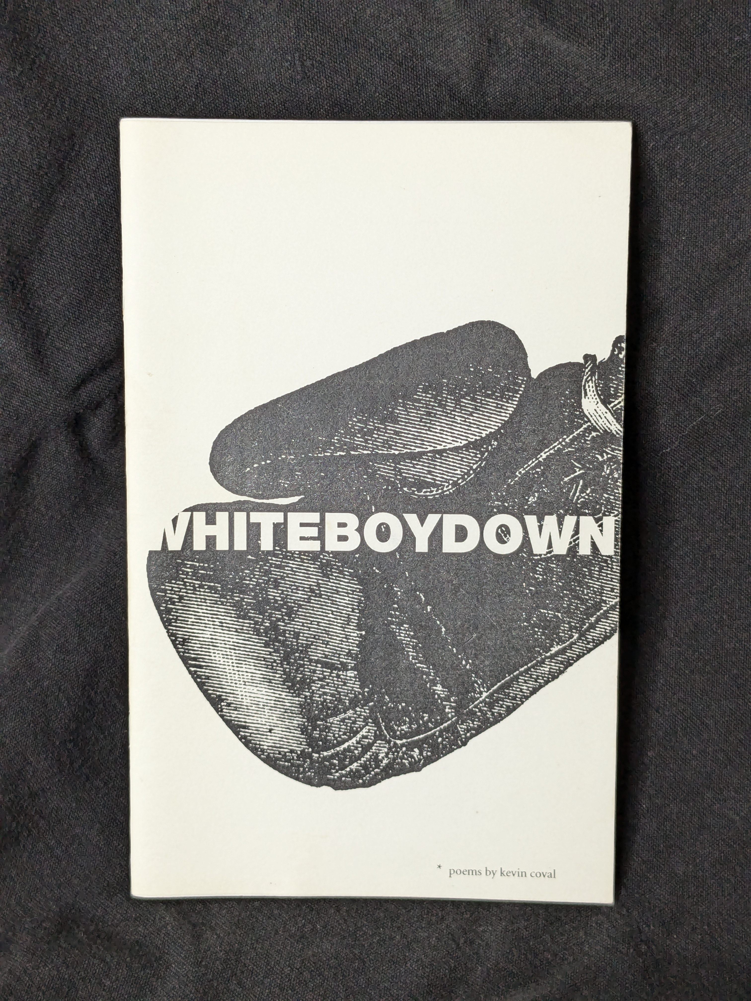 White Boy Down (2004) by Kevin Coval