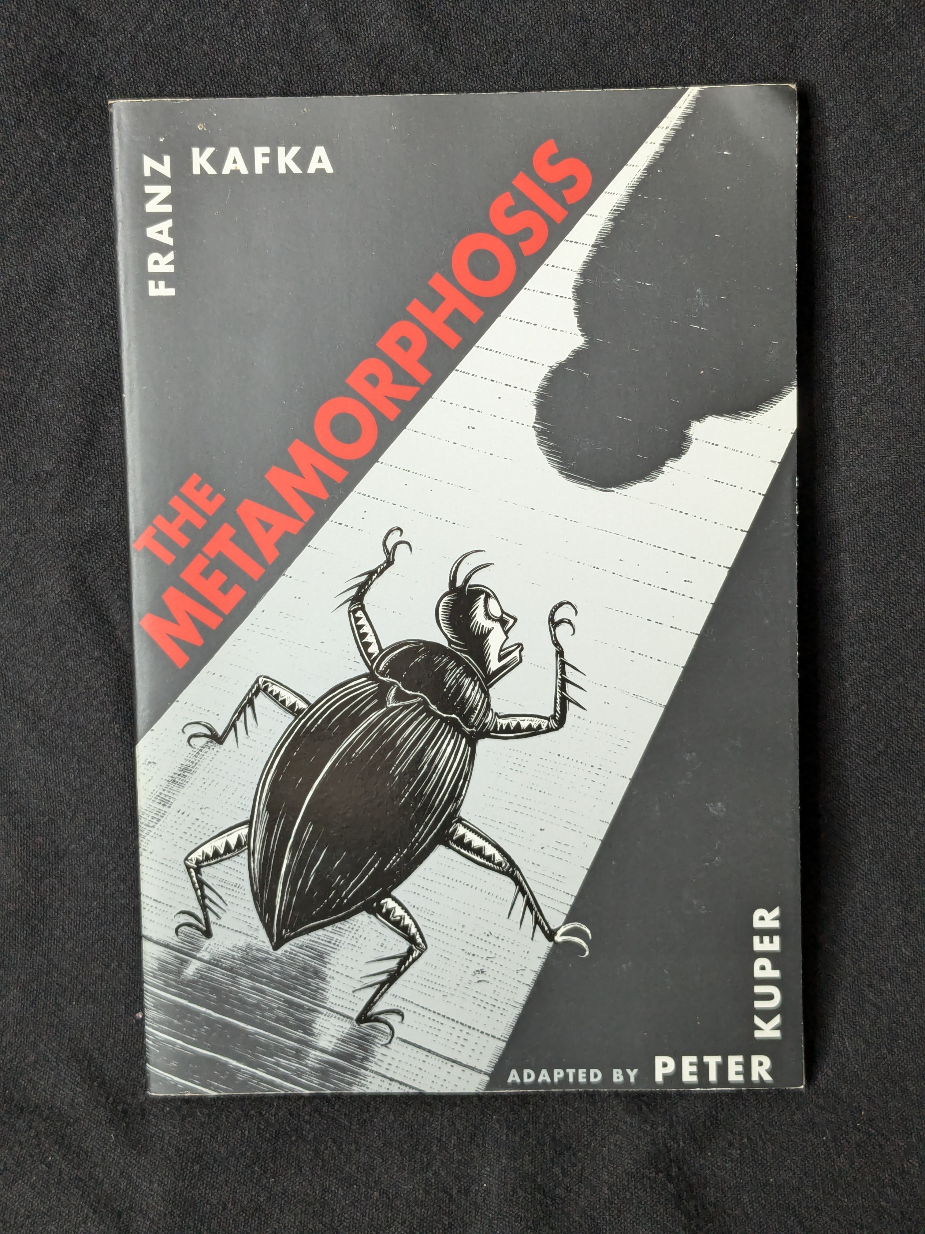 The Metamorphosis by Franz Kafka, Adapted by Peter Kuper (2003)