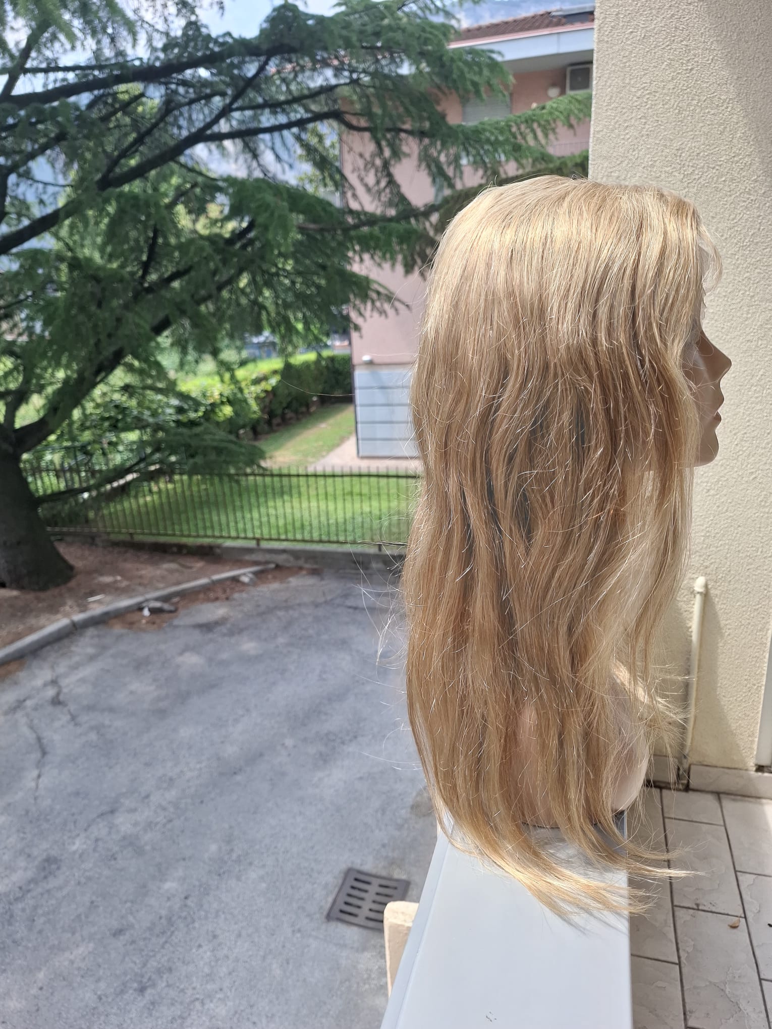 Lolita