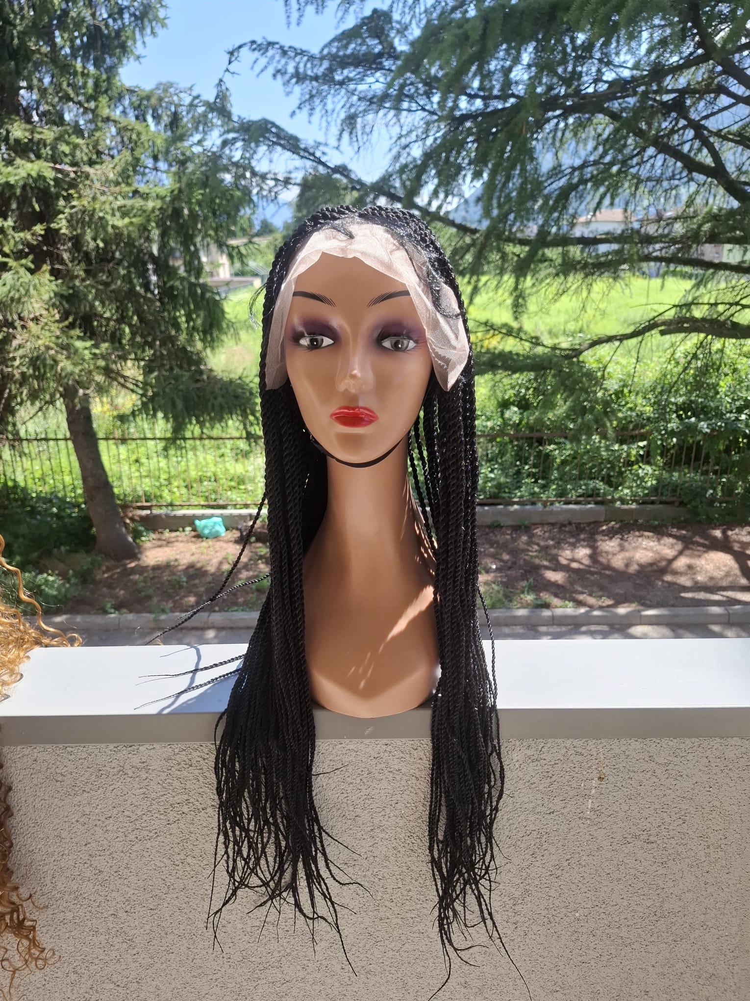 Rasta