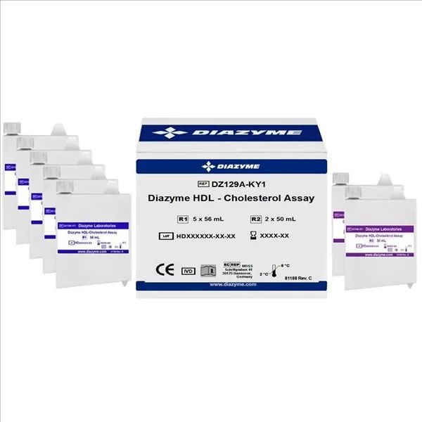 Cholesterol Assay Kit 