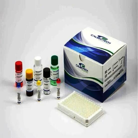  Prolactin Hormone Test Kit