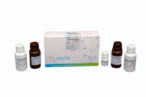 Creatinine Test Kit (200 mL) 