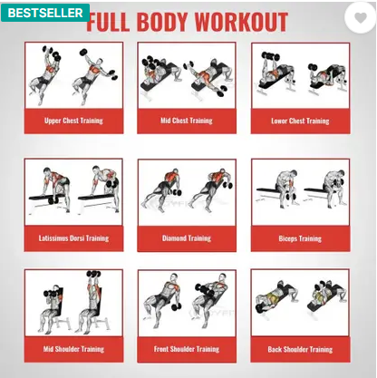 SLOVIC Fitness Bench for Home Gym | 7 Adjustable Positions | Full Body Workout Multipurpose Fitness Bench