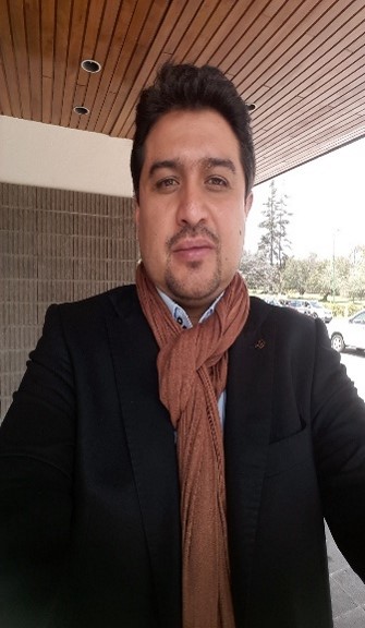 Diálogos sobre el colapso