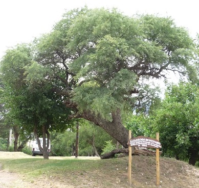 Villa Cura Brochero - Camping  frente al rio Panaholma