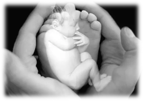 MASSAGE METAMORPHIQUE BEBE