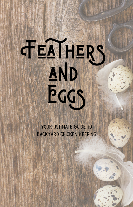 Feathers and Eggs