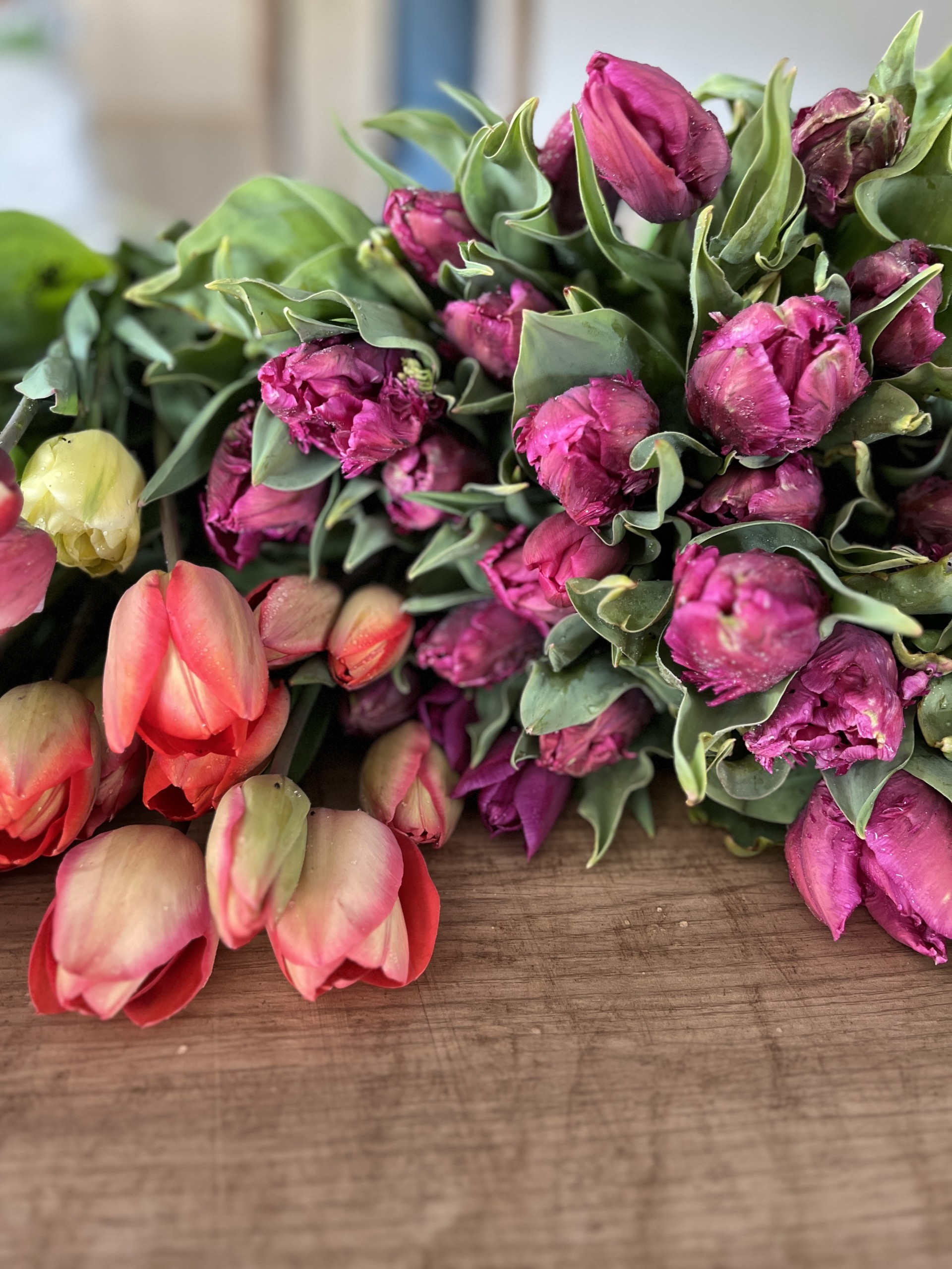 Botte de tulipes de la ferme