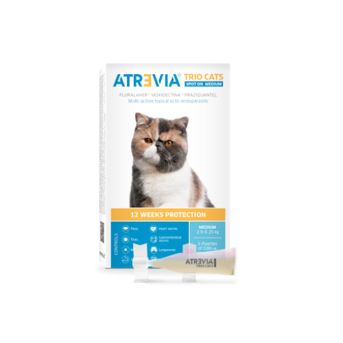 Atrevia® Trio Cats Spot On Medium