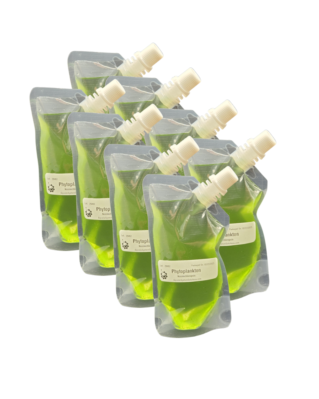 Live Phytoplankton