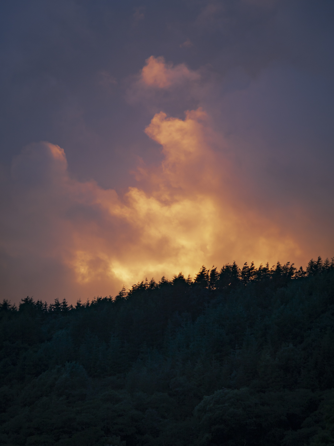 Arde el cielo