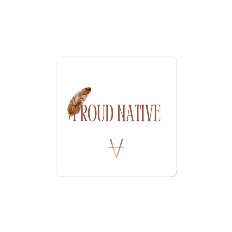 PROUD NATIVE "Feather" | STICKER 