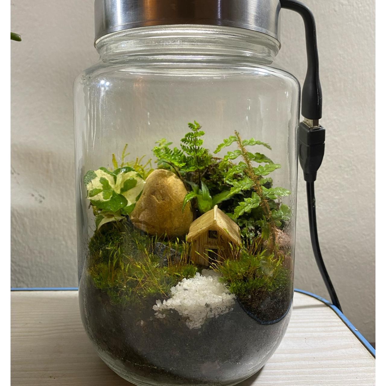 Terrarium in Glass Jar with LED Sun