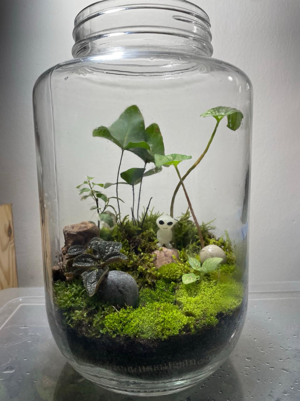 Park Terrarium