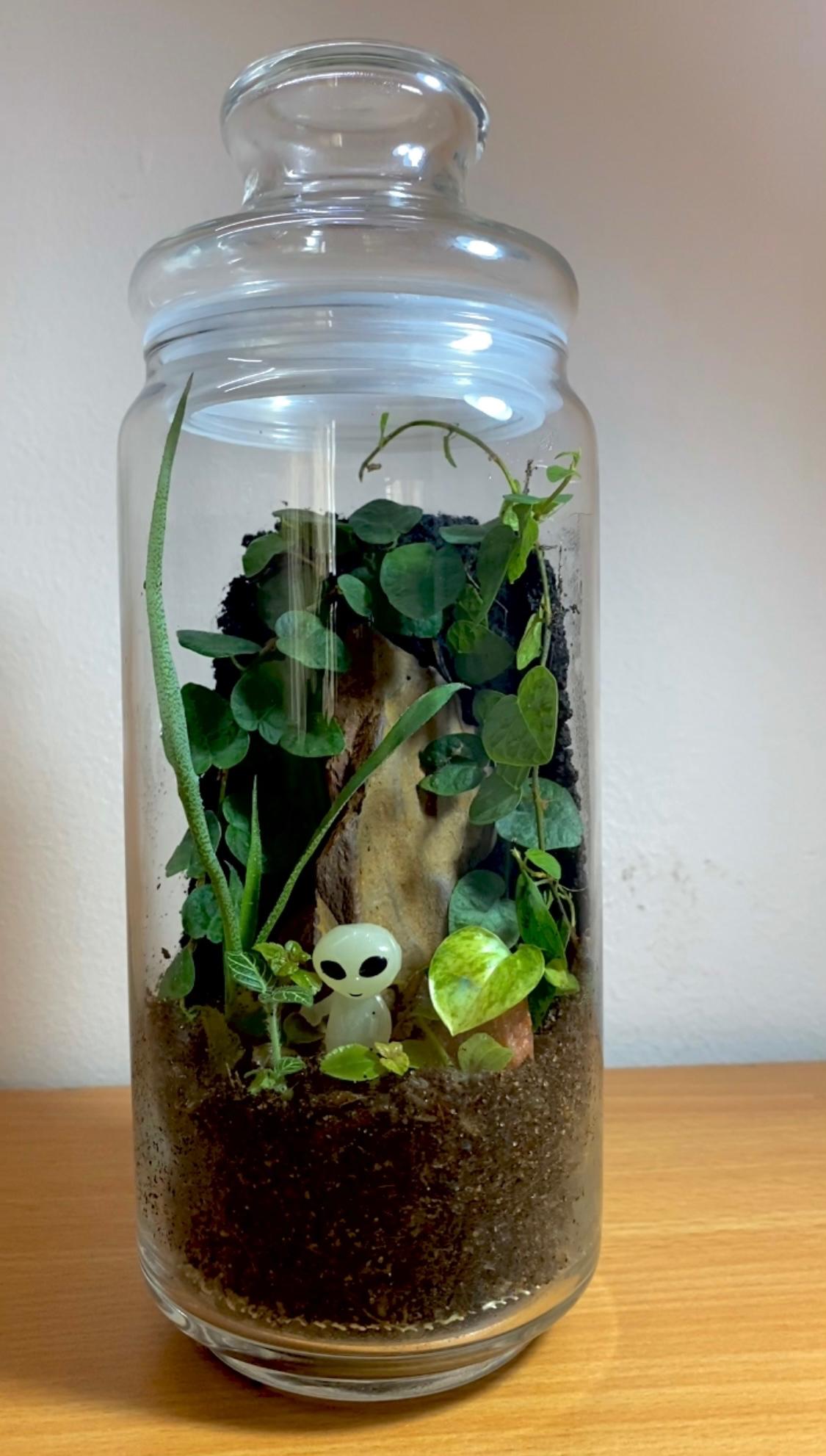 Alien-inside Enclosed Terrarium