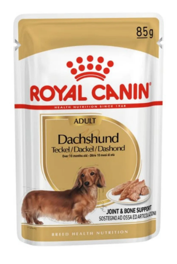 Pouch Dachshund x85g