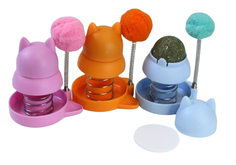 Hierba gato con ponpon