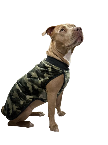 Polar soft - talle 1 - 6